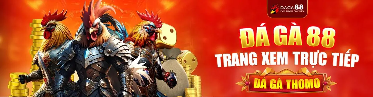 Trải nghiệm Đá Gà đỉnh cao tại kuwin 789 hiện đang mở